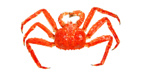 image.png